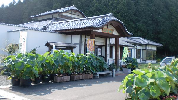 よふど温泉(1)　　全景.JPG